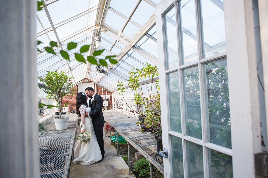 bride and groom in greenhouse {joliet wedding photographer}