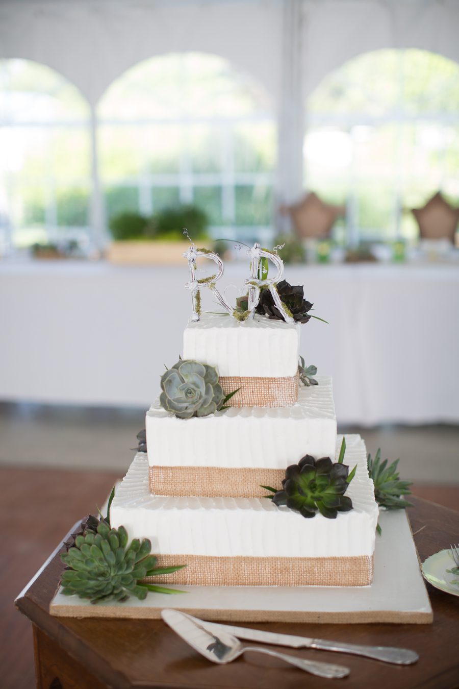 white and green wedding cake {elburn wedding photographer}