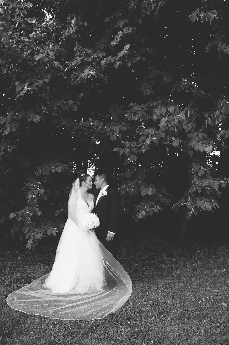 black and white image by a tree {batavia wedding photographer}
