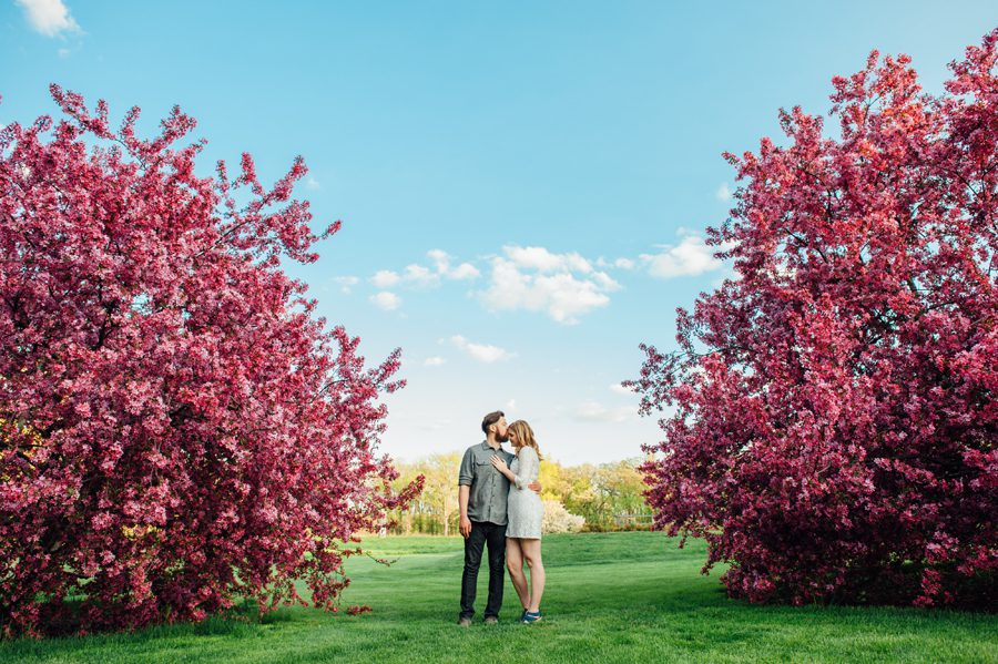 couple standing between two flowering trees {cantigny engagement photographer}
