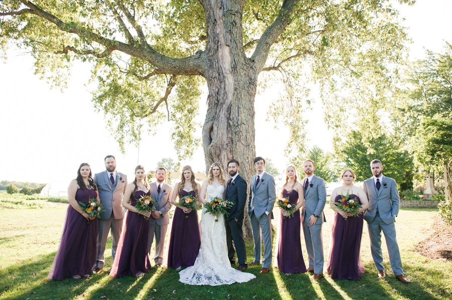wedding party by a large tree - heritage prairie farm