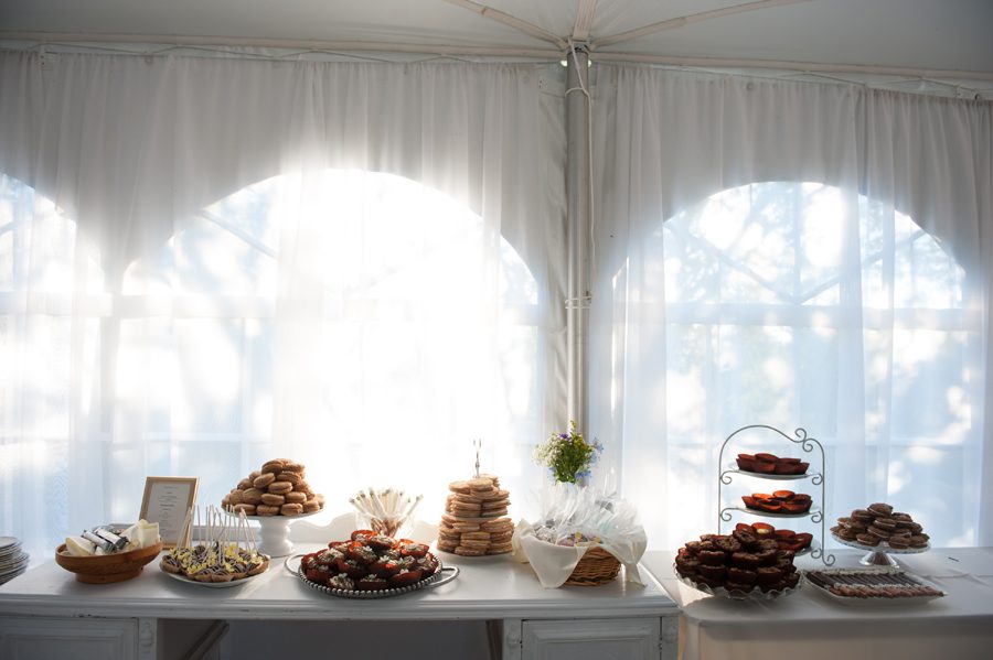 sweets table at wedding of blue wildflowers {Heritage Prairie Farm Photographer}