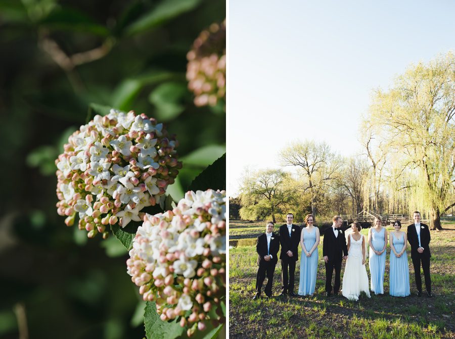 Morton Arboretum Wedding photos with the bridesmaids and groomsm