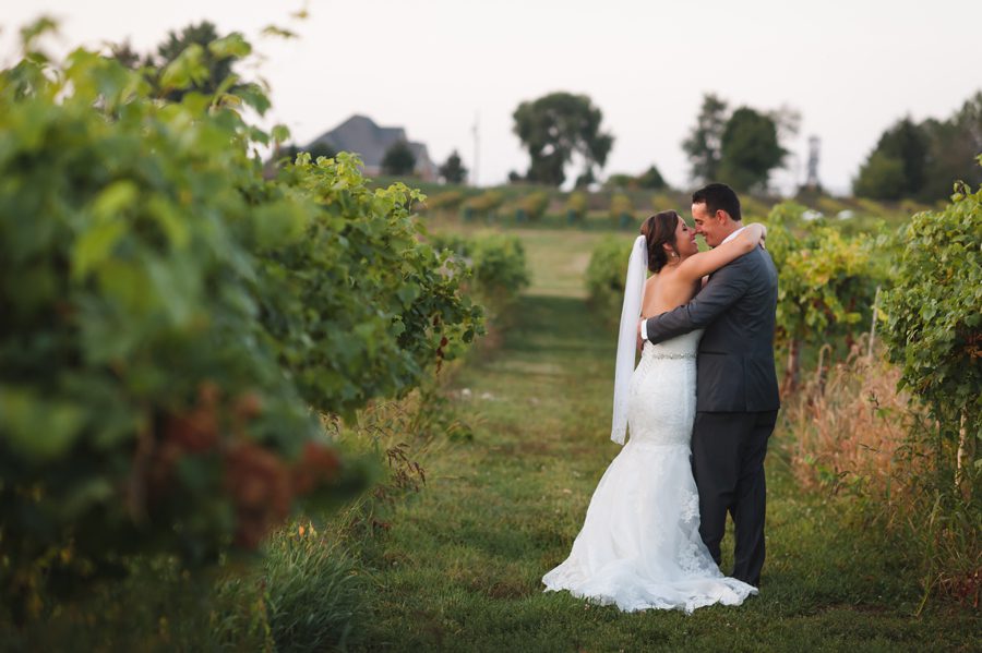 Wedding ceremony at Acquaviva Winery – Elite Photo