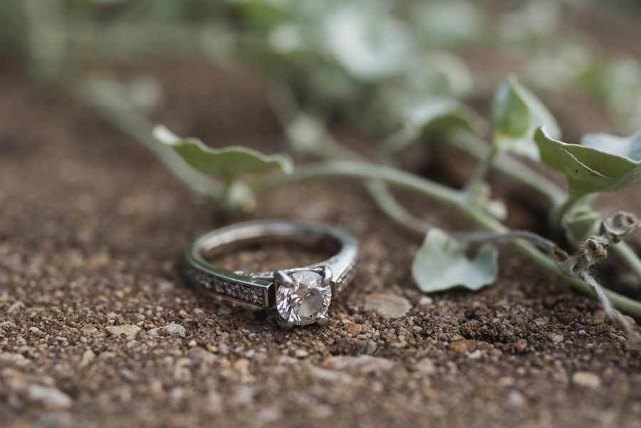 geneva, Illinois engagement and wedding photographer – ring shot